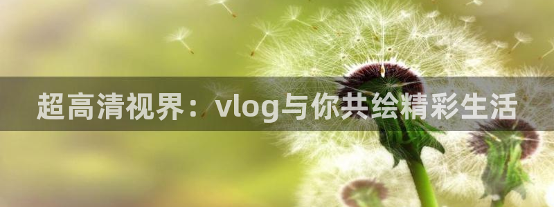 糖心voog：超高清视界：vlog与你共绘精彩生活