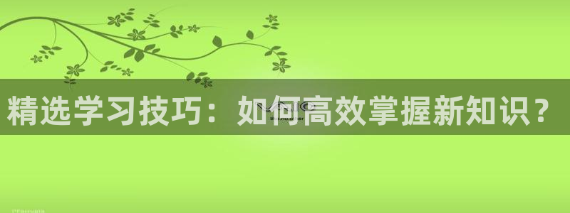 糖心.：精选学习技巧：如何高效掌握新知识？
