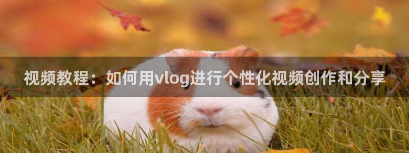 糖心,com：视频教程：如何用vlog进行个性化视频创作和分