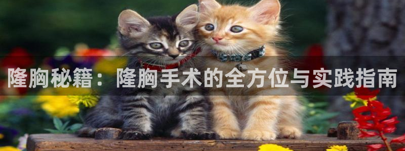 糖心.com：隆胸秘籍：隆胸手术的全方位与实践指南